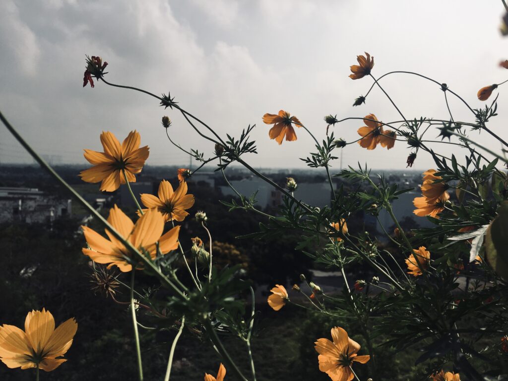 Mommy loves Justin and May 